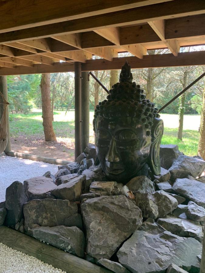 Gite Pont-A-Mousson, La Pepiniere Pagode Asiatique 外观 照片